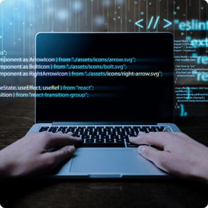 Custom_and_Low-Code_Development